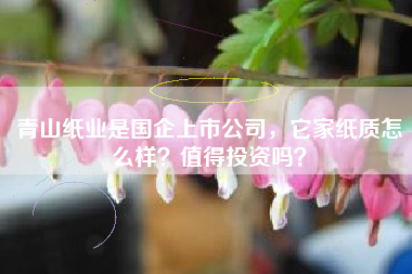 青山纸业是国企上市公司，它家纸质怎么样？值得投资吗？