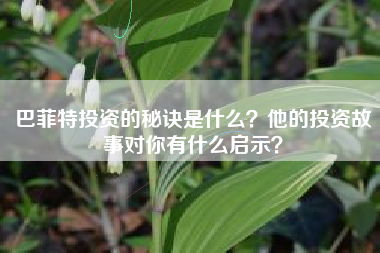 巴菲特投资的秘诀是什么？他的投资故事对你有什么启示？