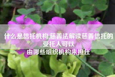 什么是信托机构,慈善法解读慈善信托的受托人可以
由哪些组织机构来担任 什么是信托机构,慈善法解读慈善信托的受托人可以
由哪些组织机构来担任