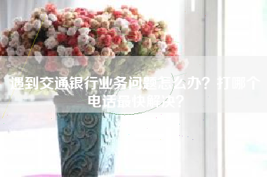 遇到交通银行业务问题怎么办？打哪个电话最快解决？