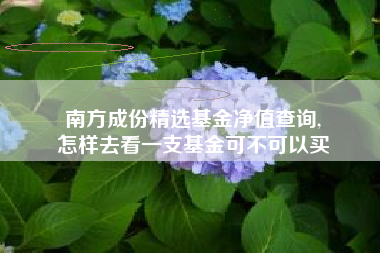 南方成份精选基金净值查询,
怎样去看一支基金可不可以买