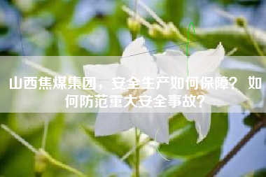 山西焦煤集团，安全生产如何保障？ 如何防范重大安全事故？