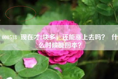 000518  现在才2块多，还能涨上去吗？  什么时候能回本？