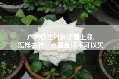 广发恒生科技净值上涨,
怎样去看一支基金可不可以买