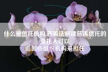 什么是信托机构,慈善法解读慈善信托的受托人可以
由哪些组织机构来担任 什么是信托机构,慈善法解读慈善信托的受托人可以
由哪些组织机构来担任