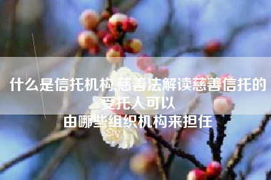 什么是信托机构,慈善法解读慈善信托的受托人可以
由哪些组织机构来担任 什么是信托机构,慈善法解读慈善信托的受托人可以
由哪些组织机构来担任