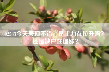 002533今天表现不错，是主力在拉升吗？ 还是散户在追涨？