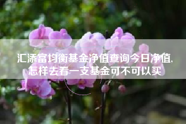 汇添富均衡基金净值查询今日净值,
怎样去看一支基金可不可以买