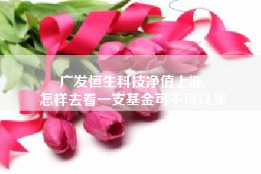 广发恒生科技净值上涨,
怎样去看一支基金可不可以买