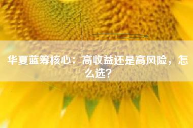 华夏蓝筹核心：高收益还是高风险，怎么选？