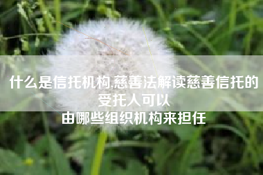 什么是信托机构,慈善法解读慈善信托的受托人可以
由哪些组织机构来担任 什么是信托机构,慈善法解读慈善信托的受托人可以
由哪些组织机构来担任