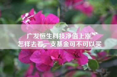 广发恒生科技净值上涨,
怎样去看一支基金可不可以买