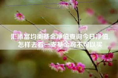 汇添富均衡基金净值查询今日净值,
怎样去看一支基金可不可以买