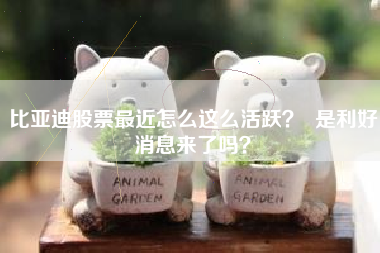 比亚迪股票最近怎么这么活跃？  是利好消息来了吗？