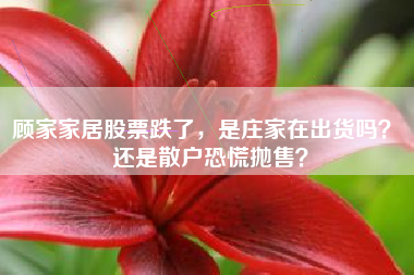 顾家家居股票跌了，是庄家在出货吗？ 还是散户恐慌抛售？