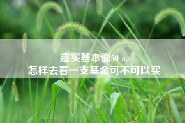 嘉实基本面50 a,
怎样去看一支基金可不可以买