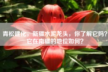 青松建化，新疆水泥龙头，你了解它吗？它在南疆的地位如何？