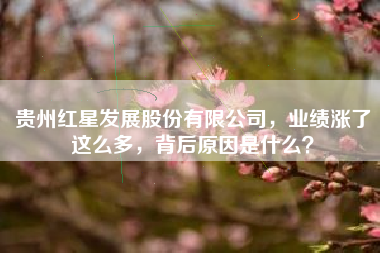 贵州红星发展股份有限公司，业绩涨了这么多，背后原因是什么？