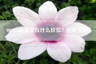 002915股票现在什么价位？还能买吗？