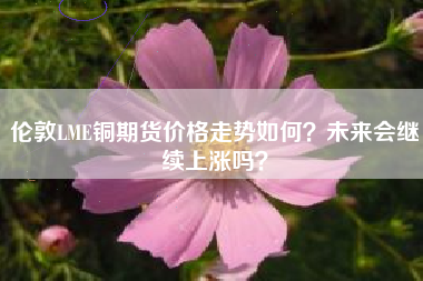 伦敦LME铜期货价格走势如何？未来会继续上涨吗？