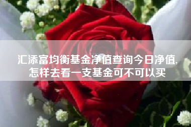 汇添富均衡基金净值查询今日净值,
怎样去看一支基金可不可以买