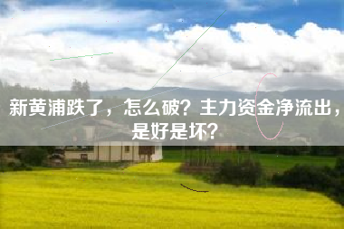 新黄浦跌了，怎么破？主力资金净流出，是好是坏？