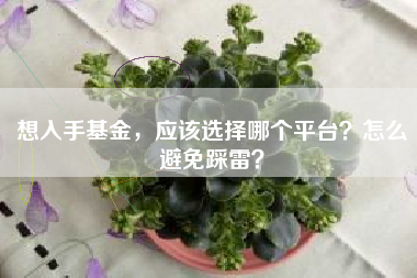 想入手基金，应该选择哪个平台？怎么避免踩雷？