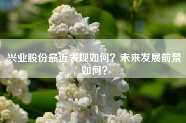 兴业股份最近表现如何？未来发展前景如何？