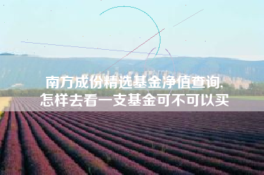 南方成份精选基金净值查询,
怎样去看一支基金可不可以买