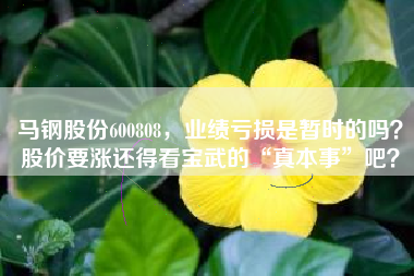 马钢股份600808，业绩亏损是暂时的吗？股价要涨还得看宝武的“真本事”吧？