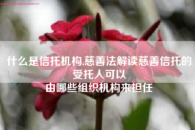 什么是信托机构,慈善法解读慈善信托的受托人可以
由哪些组织机构来担任 什么是信托机构,慈善法解读慈善信托的受托人可以
由哪些组织机构来担任