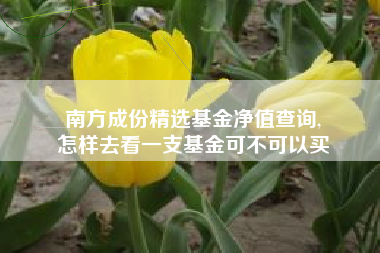 南方成份精选基金净值查询,
怎样去看一支基金可不可以买