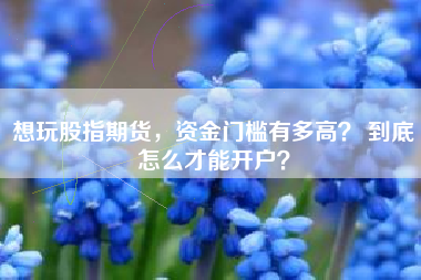 想玩股指期货，资金门槛有多高？ 到底怎么才能开户？