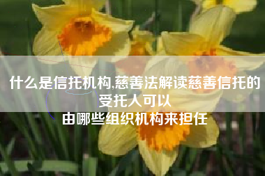 什么是信托机构,慈善法解读慈善信托的受托人可以
由哪些组织机构来担任 什么是信托机构,慈善法解读慈善信托的受托人可以
由哪些组织机构来担任