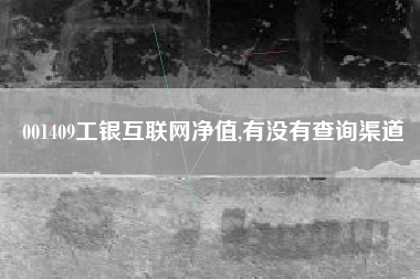 001409工银互联网净值,有没有查询渠道
