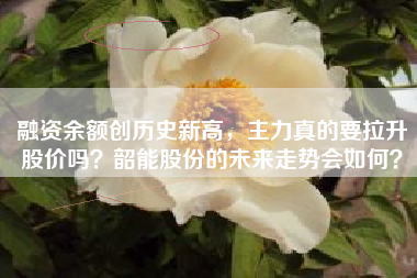 融资余额创历史新高，主力真的要拉升股价吗？韶能股份的未来走势会如何？