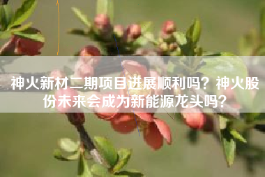 神火新材二期项目进展顺利吗？神火股份未来会成为新能源龙头吗？