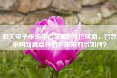 航天电子采购平台突破20万供应商,智慧采购新篇章开启?未来前景如何?