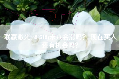 联赢激光(688518)未来会涨吗？ 现在买入还有机会吗？