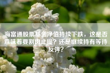 海富通股票基金净值持续下跌,这是否意味着要割肉止损?还是继续持有等待反弹?