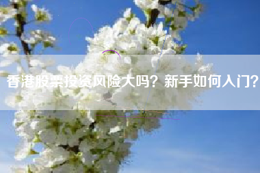 香港股票投资风险大吗？新手如何入门？