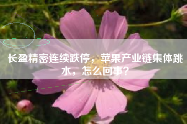 长盈精密连续跌停，苹果产业链集体跳水，怎么回事？