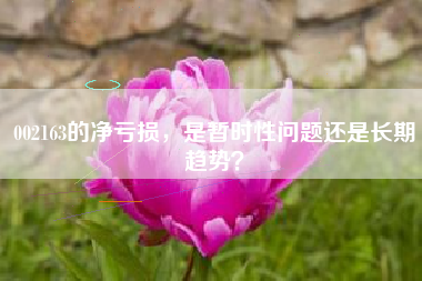 002163的净亏损，是暂时性问题还是长期趋势？