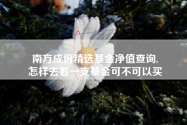 南方成份精选基金净值查询,
怎样去看一支基金可不可以买