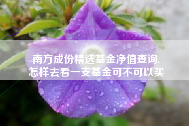南方成份精选基金净值查询,
怎样去看一支基金可不可以买