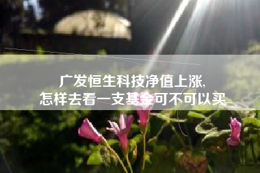 广发恒生科技净值上涨,
怎样去看一支基金可不可以买