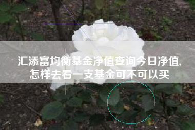 汇添富均衡基金净值查询今日净值,
怎样去看一支基金可不可以买