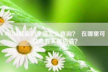 001268基金的净值怎么查询？  在哪里可以查看实时估值？