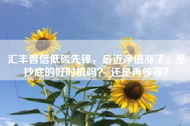 汇丰晋信低碳先锋，最近净值涨了，是抄底的好时机吗？ 还是再等等？