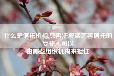 什么是信托机构,慈善法解读慈善信托的受托人可以
由哪些组织机构来担任 什么是信托机构,慈善法解读慈善信托的受托人可以
由哪些组织机构来担任